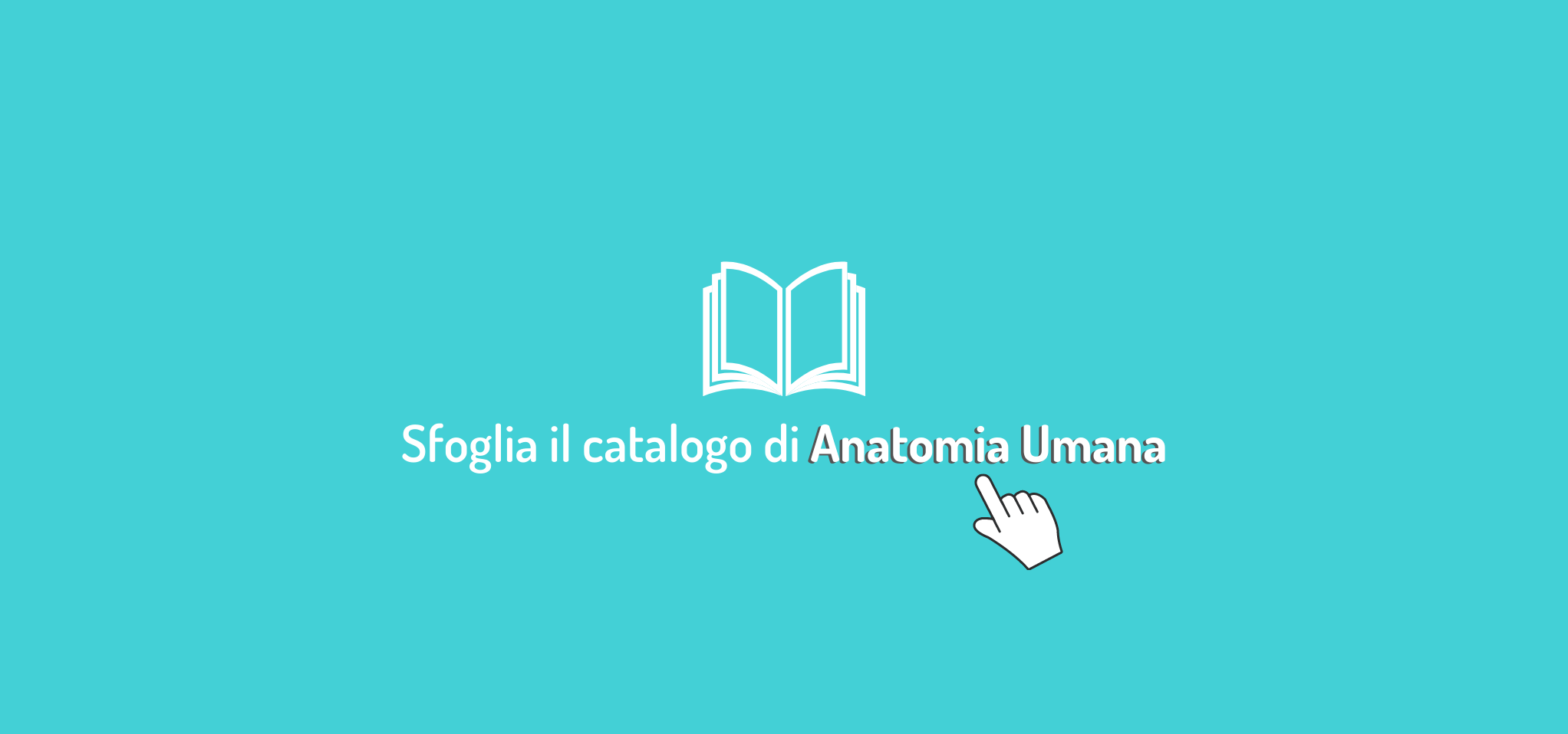 Sfoglia il catalogo (11)