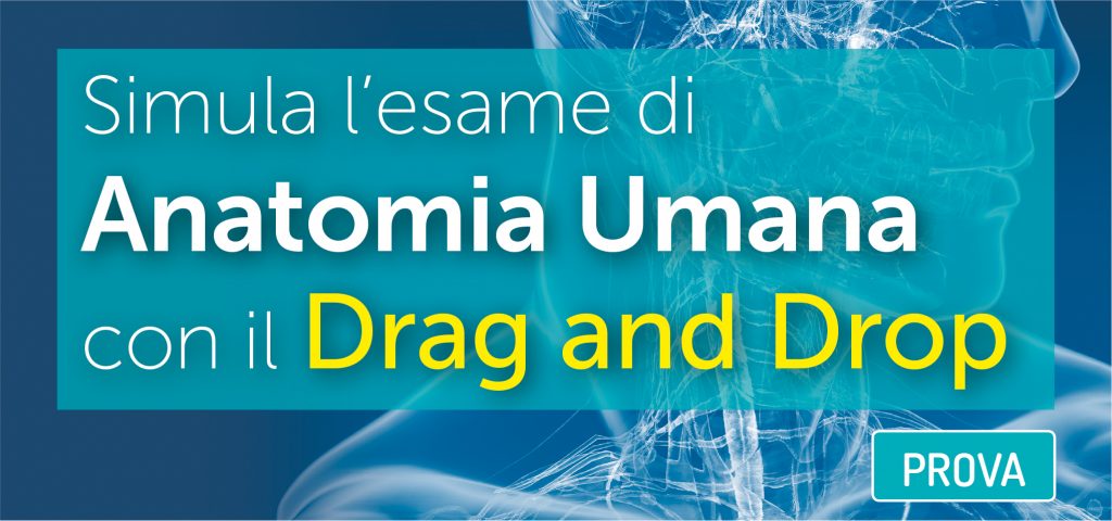 exam_manager_anatomia_drag