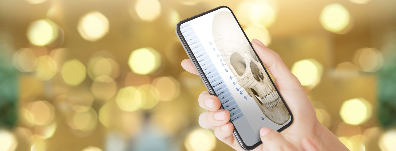 schermta_università